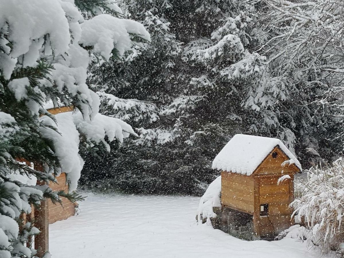 Harzer Auszeit Apartment Hattorf am Harz Bagian luar foto