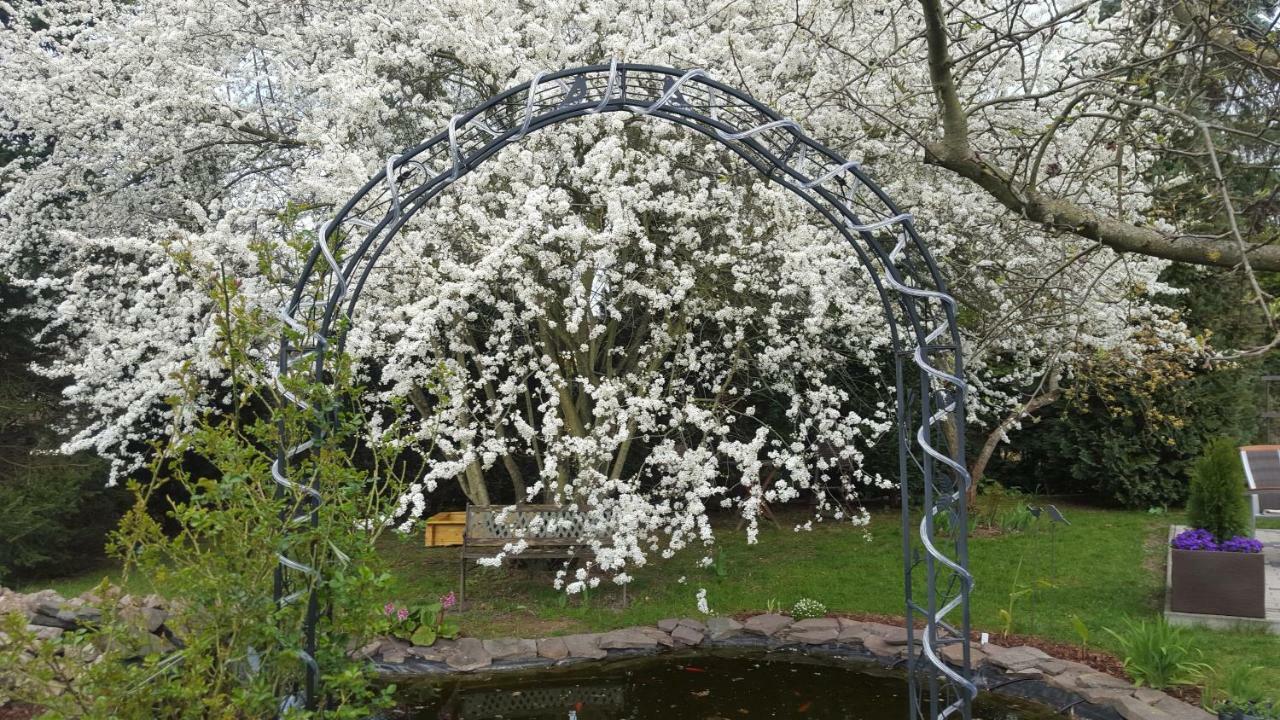 Harzer Auszeit Apartment Hattorf am Harz Bagian luar foto